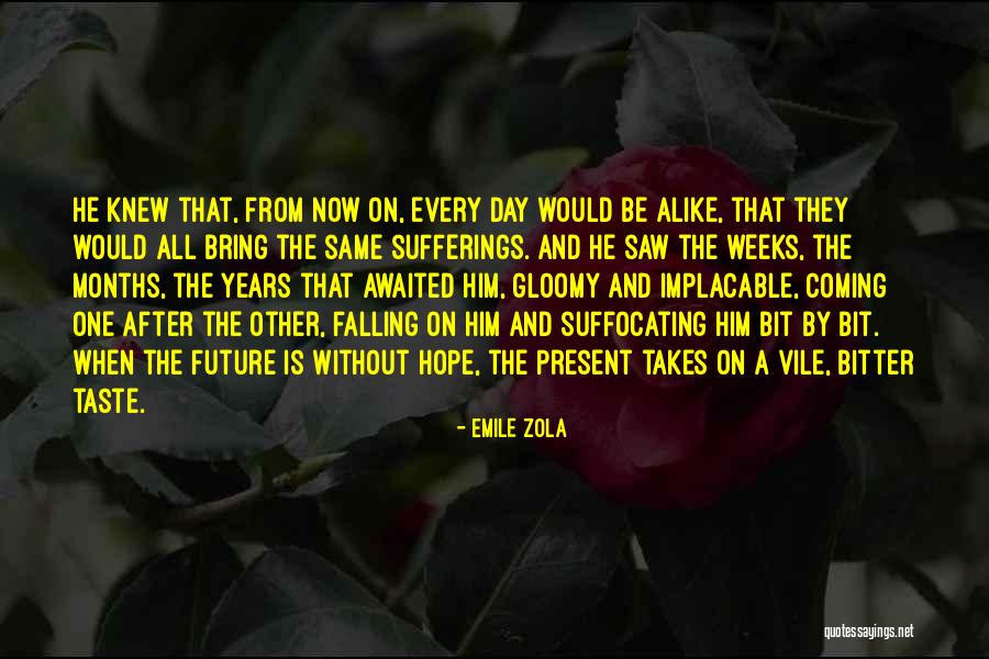 Most Awaited Day Quotes By Emile Zola