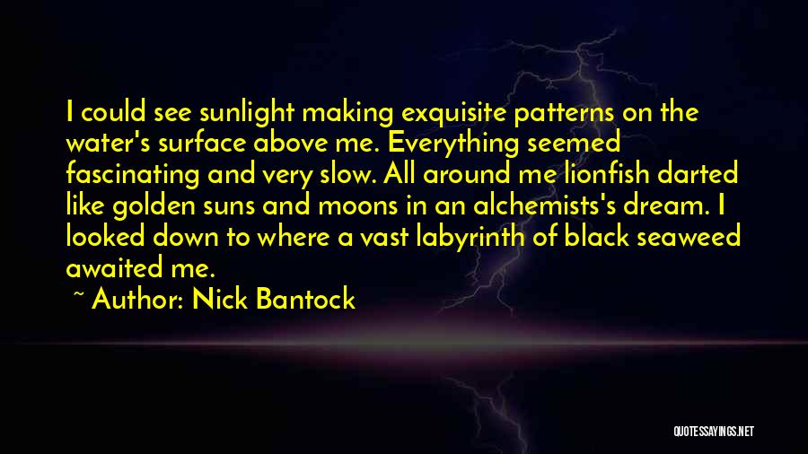 Most Awaited Quotes By Nick Bantock