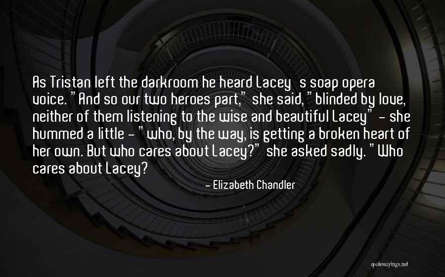 Most Beautiful Broken Heart Quotes By Elizabeth Chandler