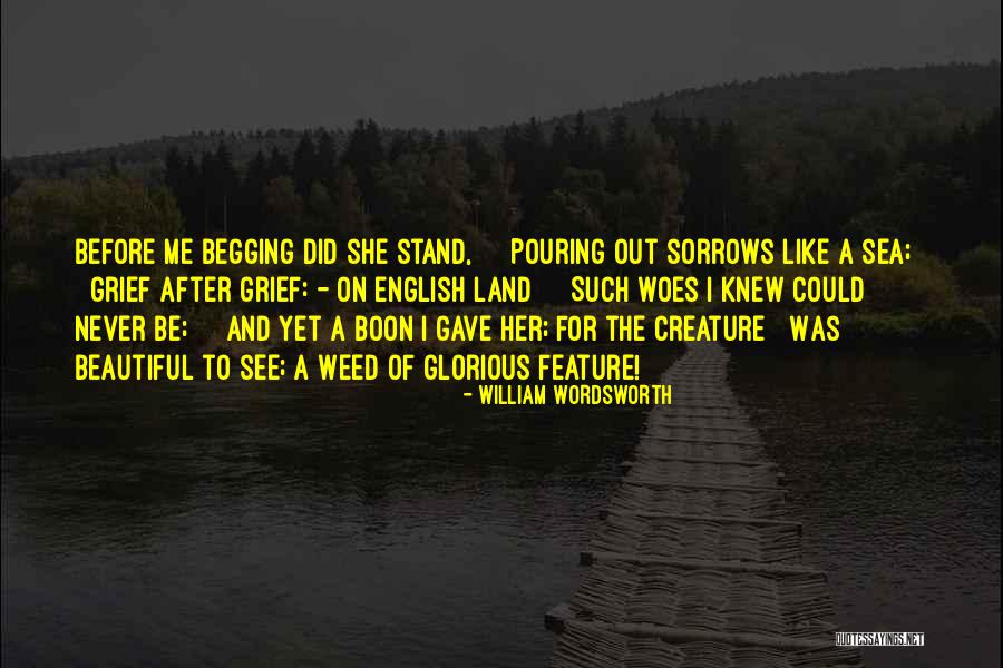 Most Beautiful English Quotes By William Wordsworth