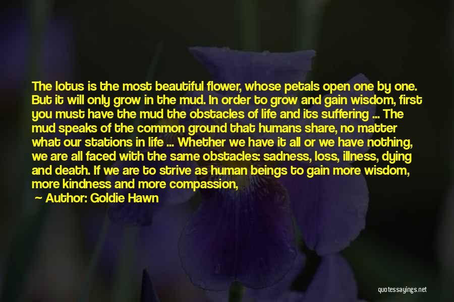 Most Beautiful Flower Quotes By Goldie Hawn