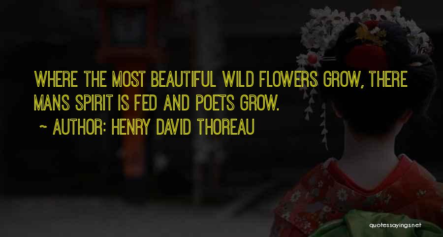Most Beautiful Flower Quotes By Henry David Thoreau