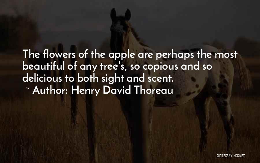 Most Beautiful Flower Quotes By Henry David Thoreau