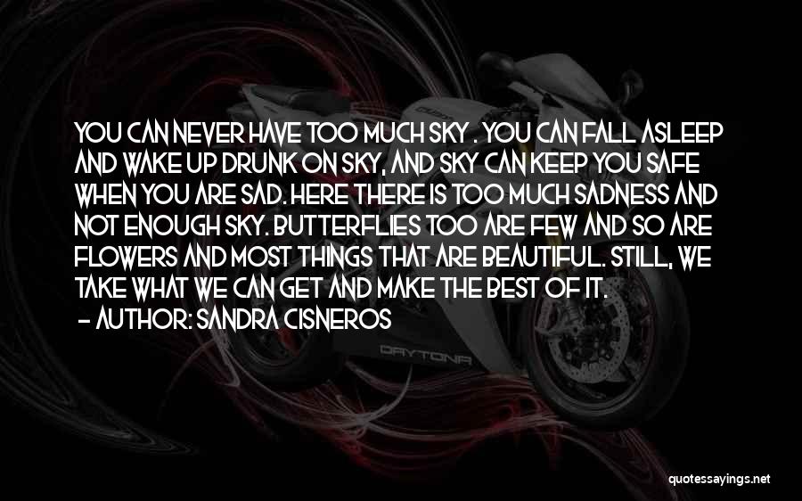 Most Beautiful Flower Quotes By Sandra Cisneros