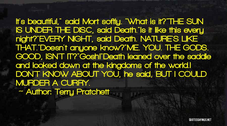 Most Beautiful Good Night Quotes By Terry Pratchett