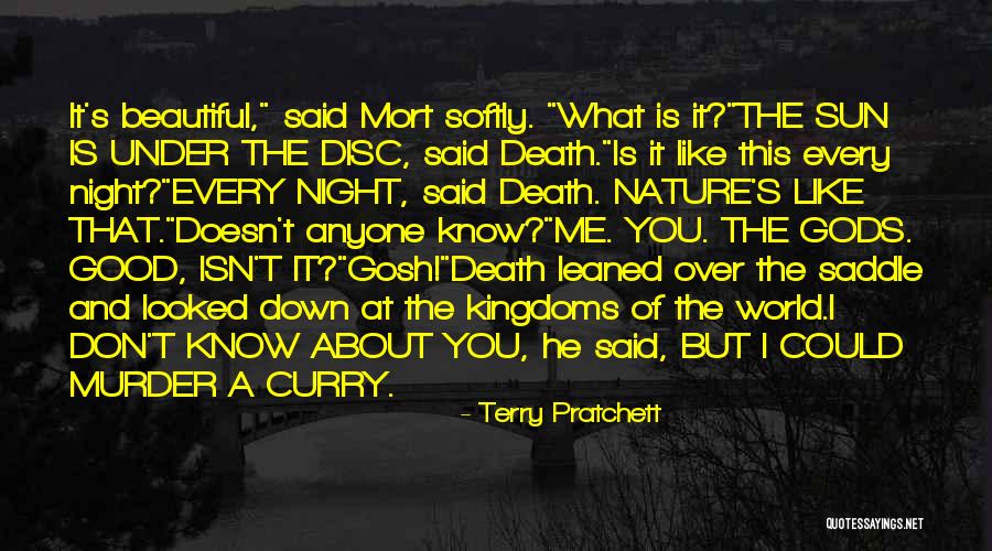 Most Beautiful Good Night Quotes By Terry Pratchett