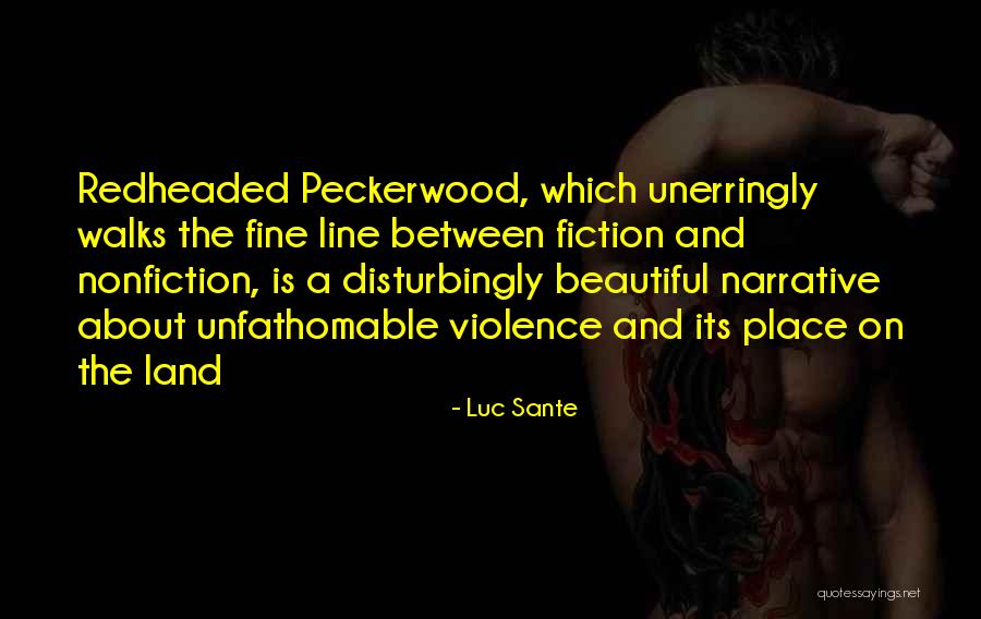 Most Beautiful One Line Quotes By Luc Sante