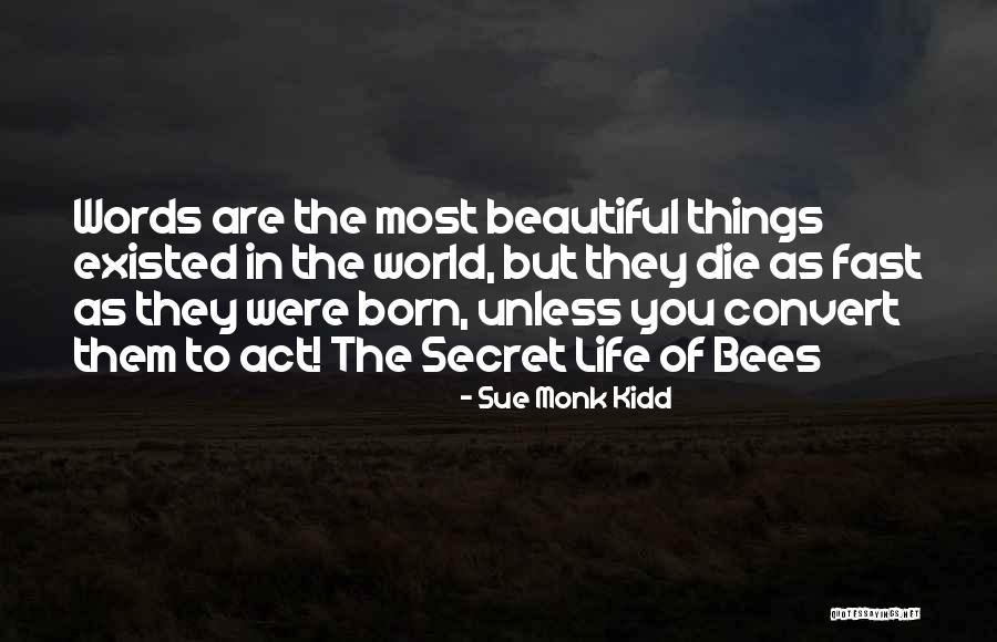 Most Beautiful Things In Life Quotes By Sue Monk Kidd