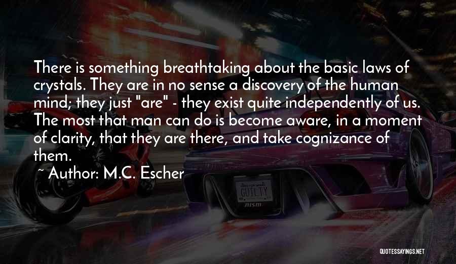 Most Breathtaking Quotes By M.C. Escher