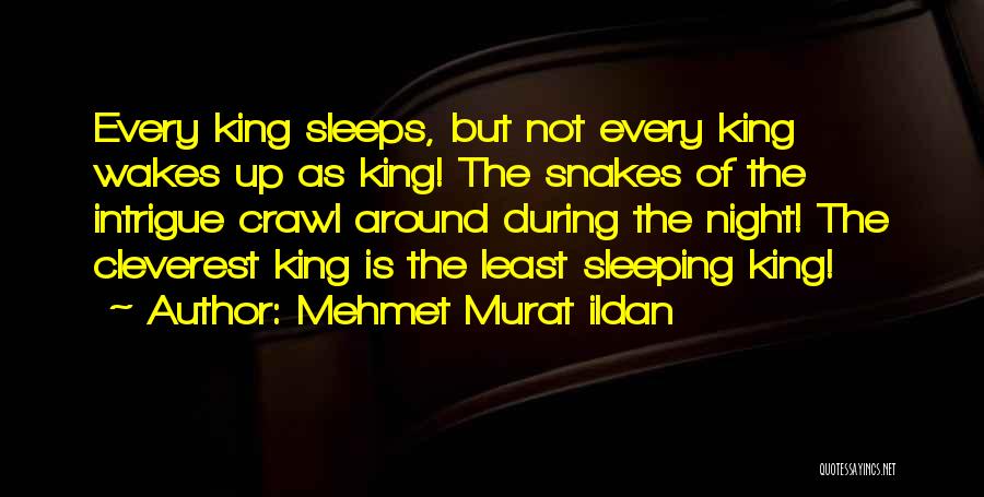 Most Cleverest Quotes By Mehmet Murat Ildan