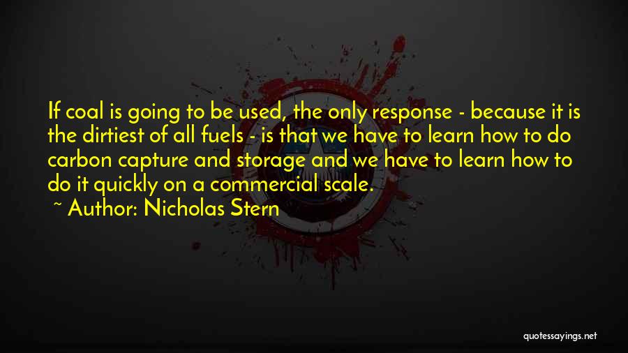 Most Dirtiest Quotes By Nicholas Stern