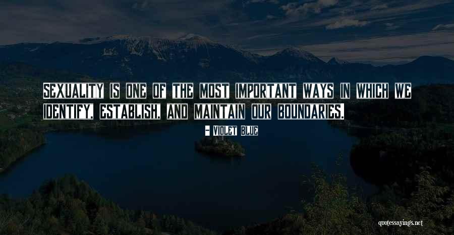 Most Empowering Quotes By Violet Blue Most Empowering Quotes By Violet Blue