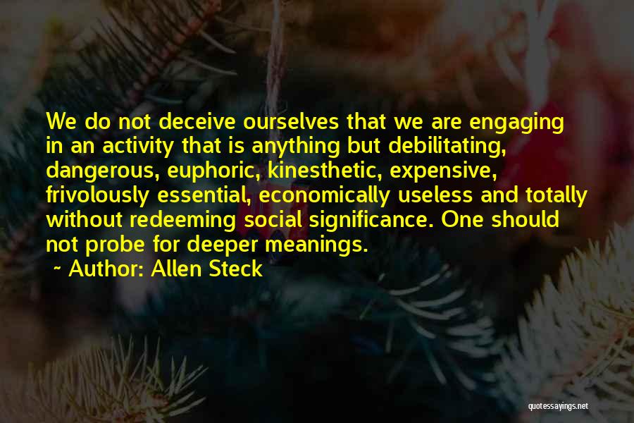 Most Euphoric Quotes By Allen Steck