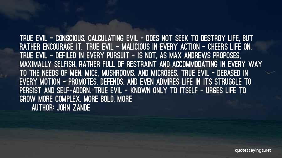 Most Evil Quotes By John Zande