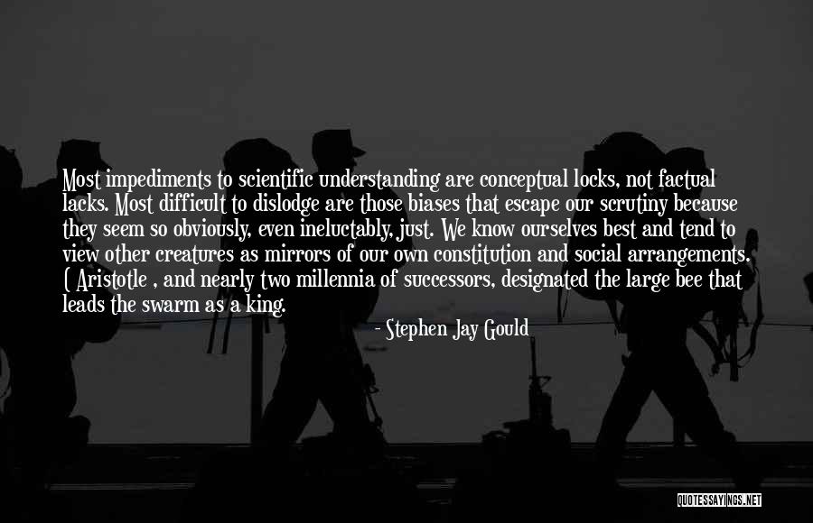 Most Factual Quotes By Stephen Jay Gould