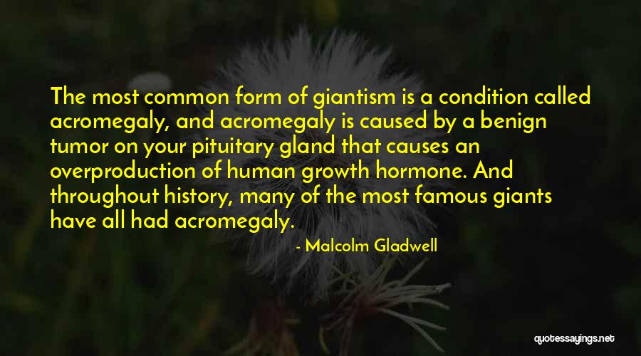 Most Famous History Quotes By Malcolm Gladwell Most Famous History Quotes By Malcolm Gladwell