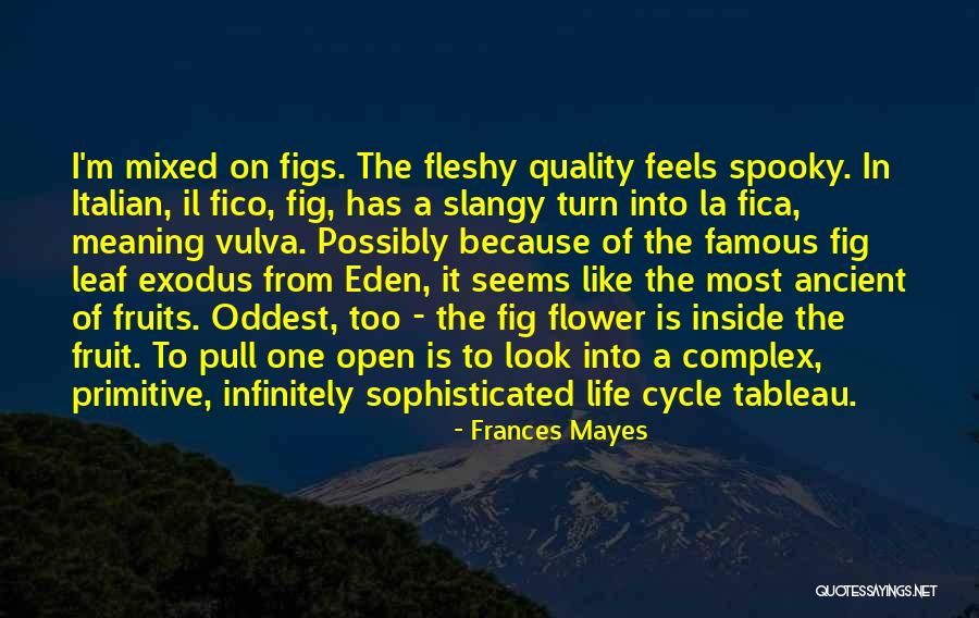 Most Famous It Quotes By Frances Mayes Most Famous It Quotes By Frances Mayes