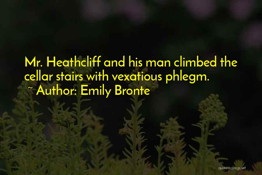 Most Favorite Inspirational Quotes By Emily Bronte