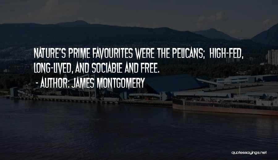 Most Favourites Quotes By James Montgomery