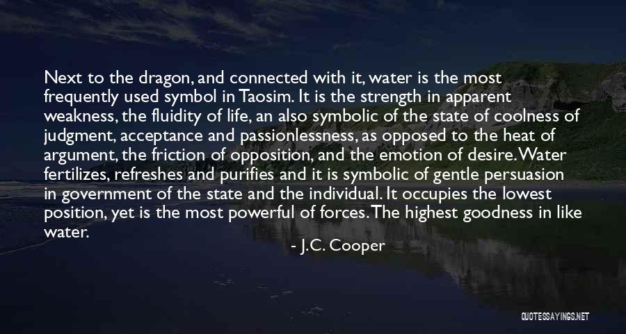 Most Frequently Used Quotes By J.C. Cooper