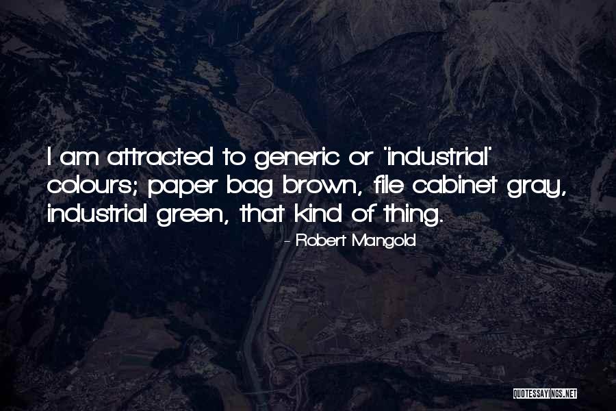 Most Generic Quotes By Robert Mangold