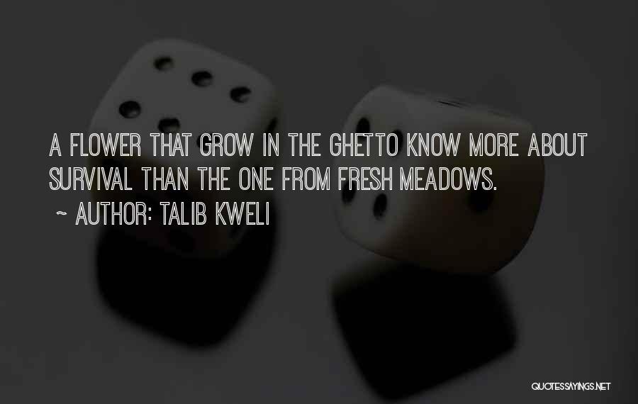 Most Ghetto Rap Quotes By Talib Kweli
