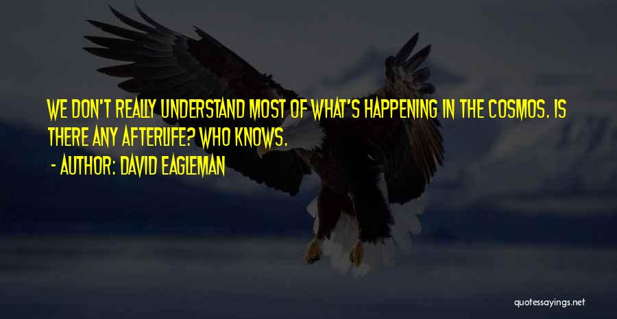 Most Happening Quotes By David Eagleman