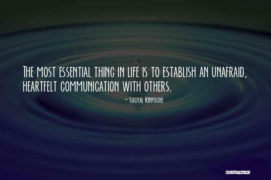 Most Heartfelt Quotes By Sogyal Rinpoche Most Heartfelt Quotes By Sogyal Rinpoche