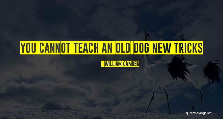 Most Interesting Man Alive Quotes By William Camden Most Interesting Man Alive Quotes By William Camden
