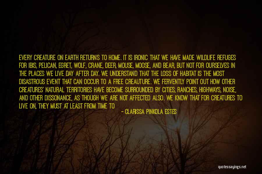 Most Ironic Quotes By Clarissa Pinkola Estes