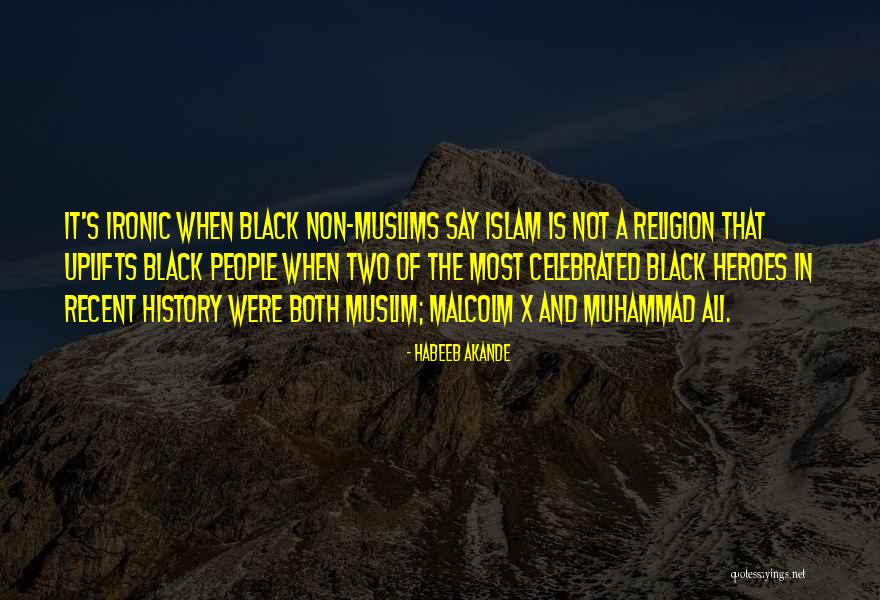 Most Ironic Quotes By Habeeb Akande Most Ironic Quotes By Habeeb Akande