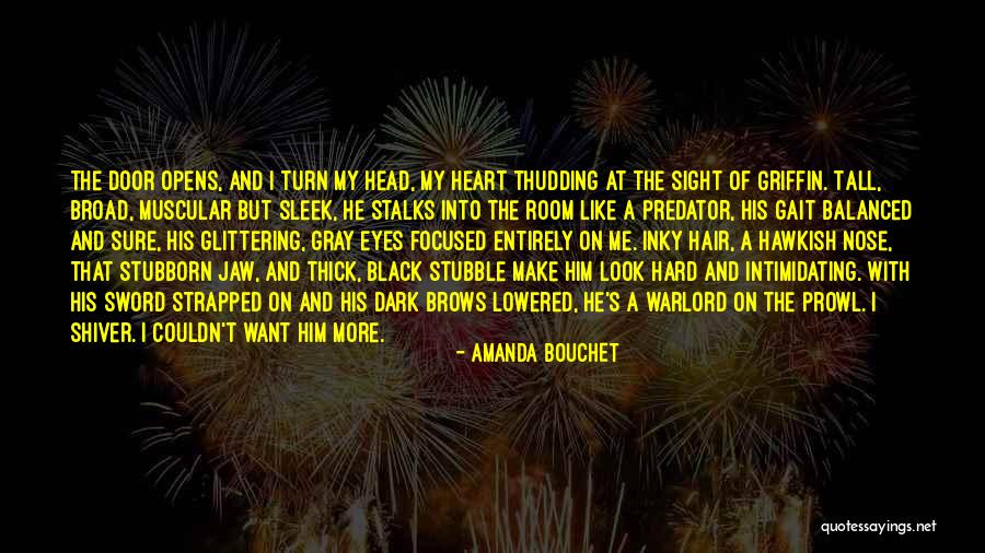 Most Kickass Quotes By Amanda Bouchet