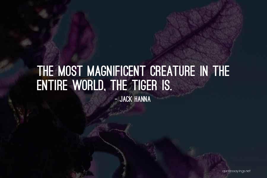 Most Magnificent Quotes By Jack Hanna