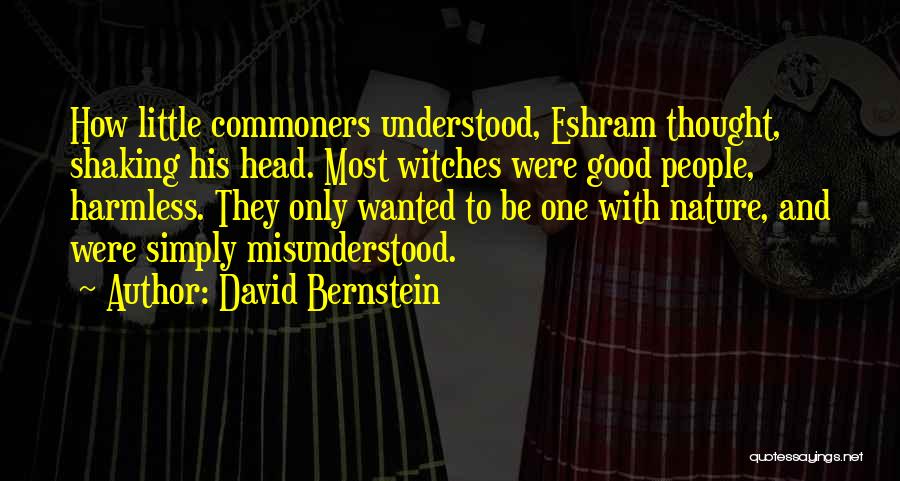 Most Misunderstood Quotes By David Bernstein