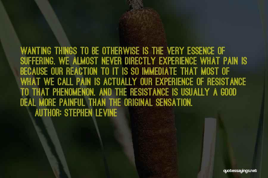 Most Original Quotes By Stephen Levine