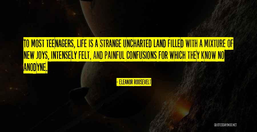 Most Painful Life Quotes By Eleanor Roosevelt Most Painful Life Quotes By Eleanor Roosevelt