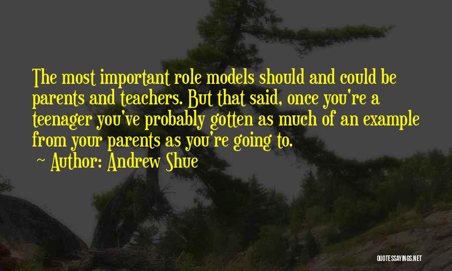 Most Probably Quotes By Andrew Shue