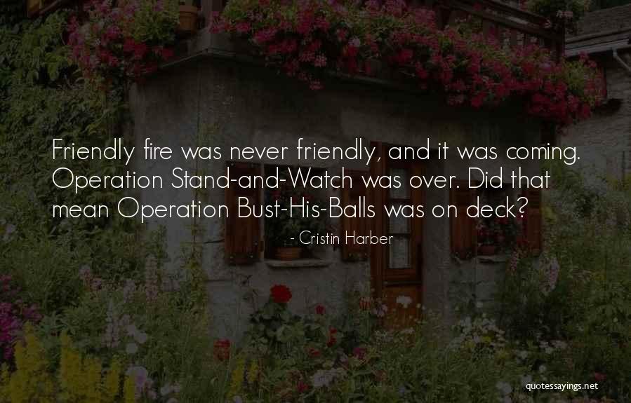 Most Romantic Novel Quotes By Cristin Harber