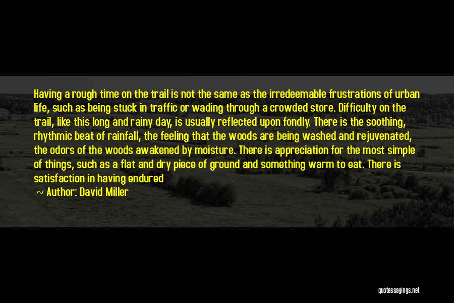 Most Soothing Quotes By David Miller