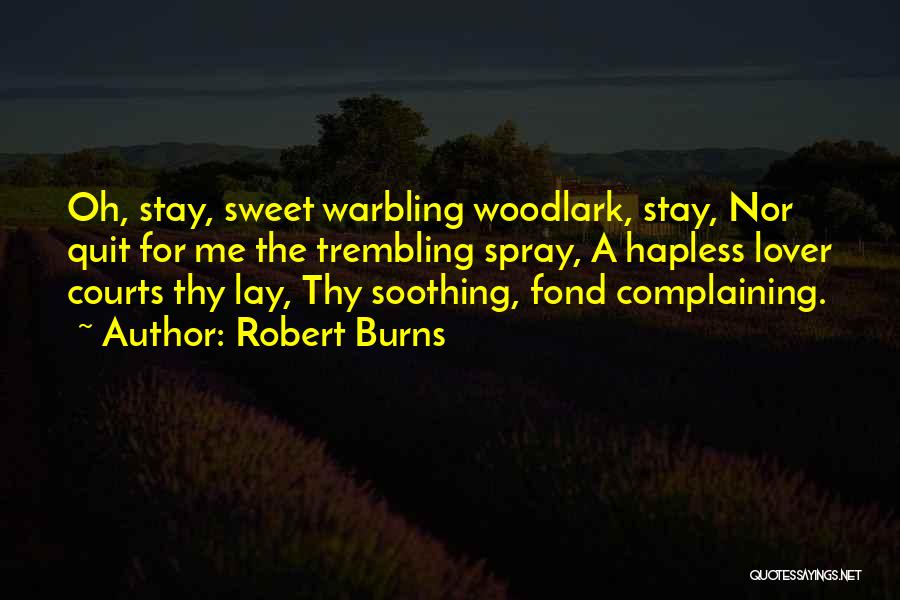 Most Soothing Quotes By Robert Burns