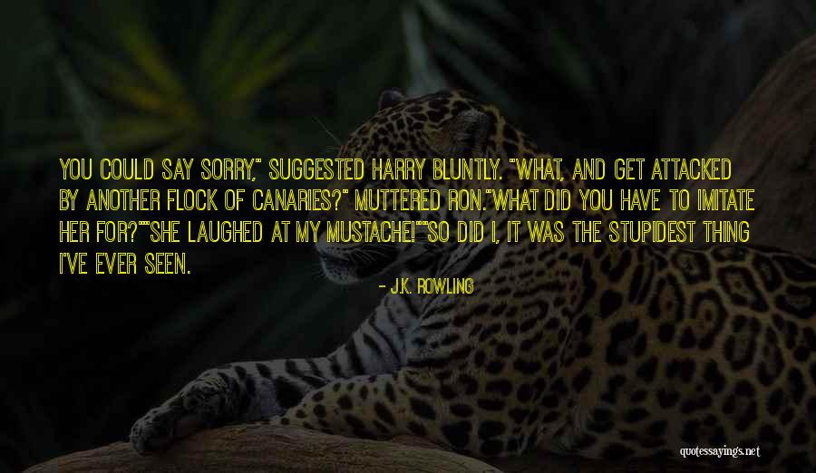 Most Stupidest Quotes By J.K. Rowling Most Stupidest Quotes By J.K. Rowling