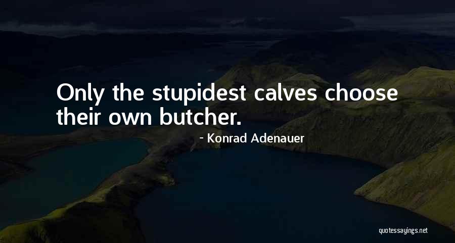 Most Stupidest Quotes By Konrad Adenauer Most Stupidest Quotes By Konrad Adenauer