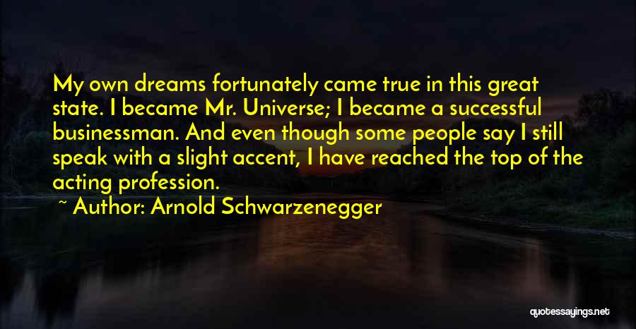 Most Successful Businessman Quotes By Arnold Schwarzenegger