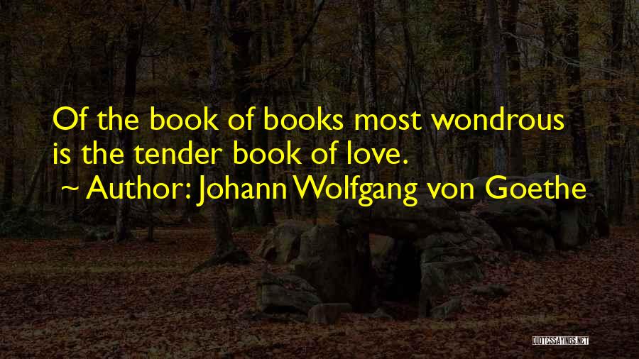 Most Tender Love Quotes By Johann Wolfgang Von Goethe