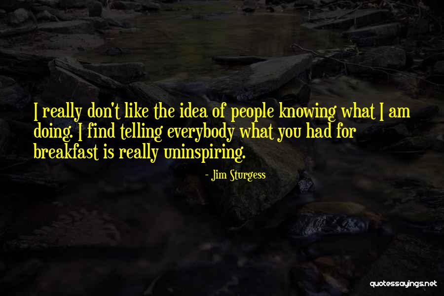 Most Uninspiring Quotes By Jim Sturgess