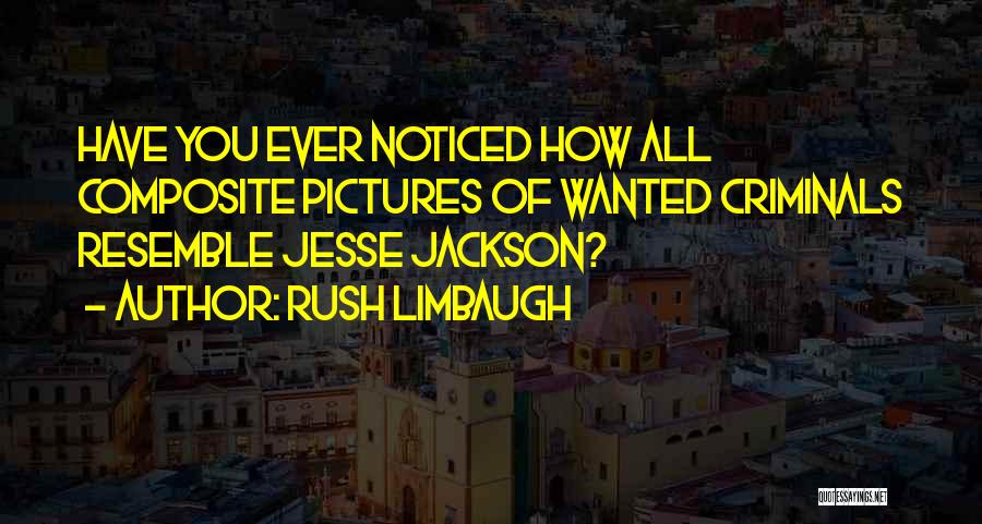 Most Wanted Criminals Quotes By Rush Limbaugh