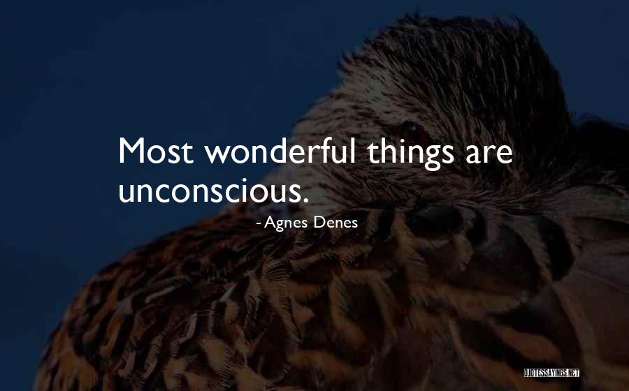 Most Wonderful Things Quotes By Agnes Denes Most Wonderful Things Quotes By Agnes Denes