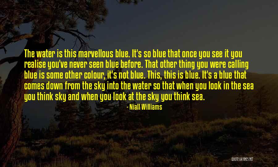 Mostardis Quotes By Niall Williams Mostardis Quotes By Niall Williams