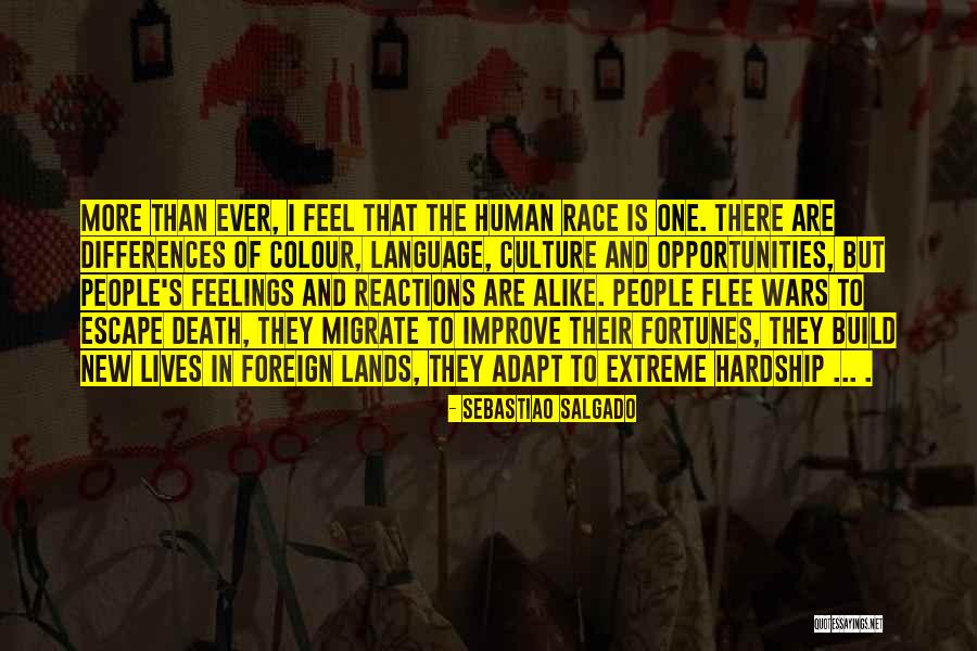 Mostellers Seafood Quotes By Sebastiao Salgado Mostellers Seafood Quotes By Sebastiao Salgado