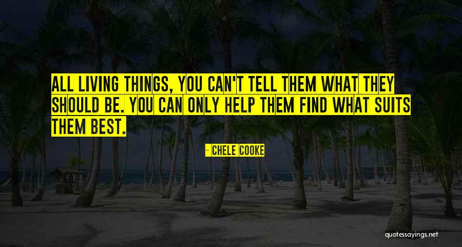 Mostofi Consultant Quotes By Chele Cooke Mostofi Consultant Quotes By Chele Cooke